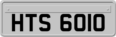 HTS6010