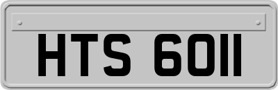 HTS6011
