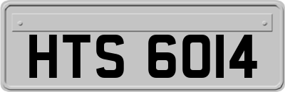 HTS6014