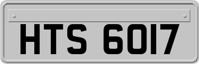HTS6017