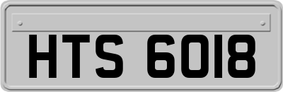 HTS6018