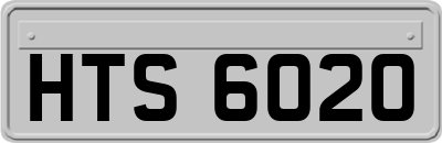 HTS6020