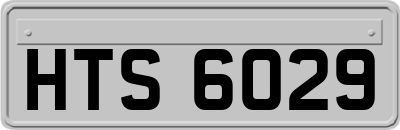 HTS6029