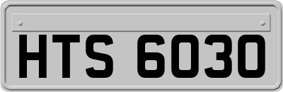 HTS6030