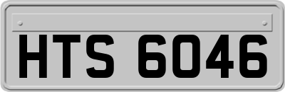 HTS6046