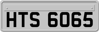 HTS6065