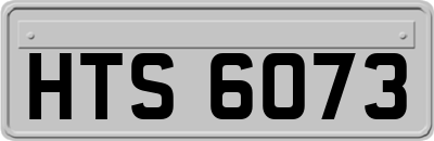 HTS6073