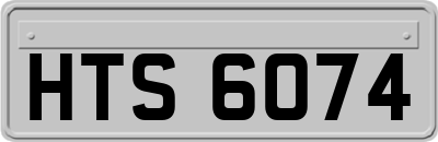 HTS6074