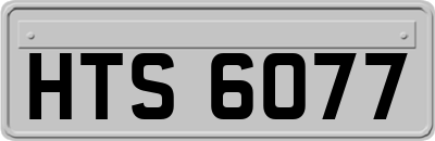 HTS6077