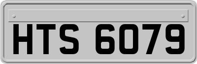 HTS6079