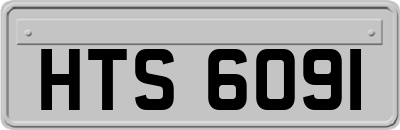 HTS6091