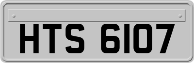HTS6107