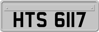 HTS6117