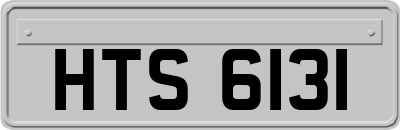 HTS6131