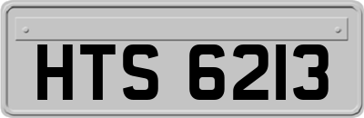 HTS6213
