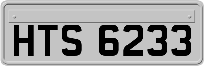 HTS6233