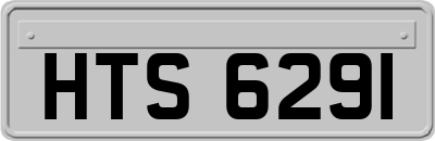 HTS6291