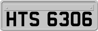 HTS6306