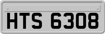 HTS6308