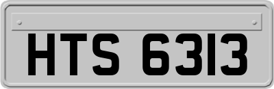 HTS6313
