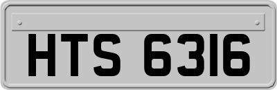 HTS6316