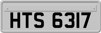 HTS6317