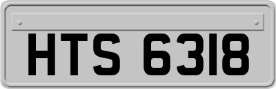 HTS6318