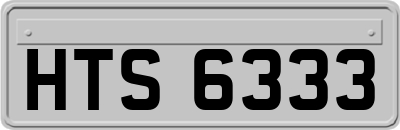 HTS6333