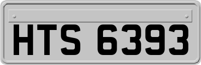 HTS6393