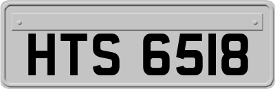 HTS6518