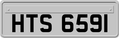 HTS6591
