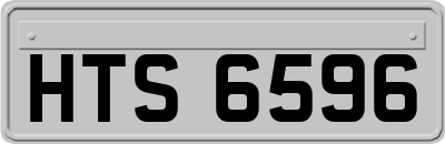HTS6596