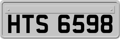 HTS6598