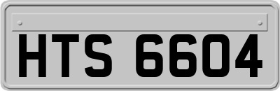 HTS6604