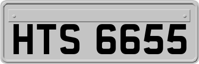 HTS6655