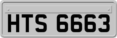 HTS6663