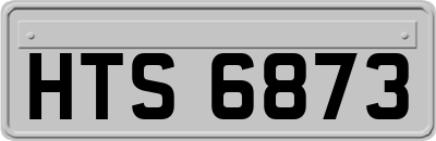 HTS6873