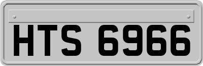 HTS6966