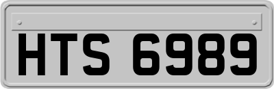 HTS6989