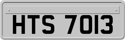 HTS7013