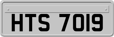 HTS7019