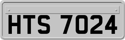 HTS7024
