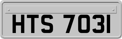 HTS7031