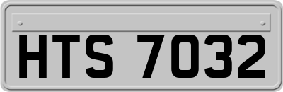 HTS7032
