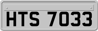 HTS7033