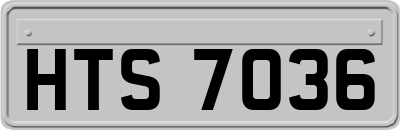 HTS7036
