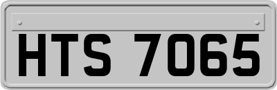 HTS7065