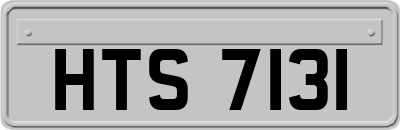 HTS7131