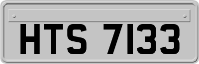 HTS7133