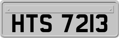 HTS7213